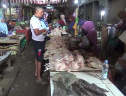 Harga Daging Ayam Naik di Pedagang Pasar Kendal