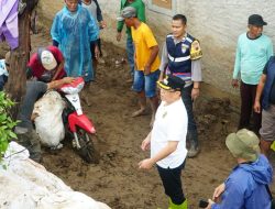 Bupati Sudewo Gerak Cepat Tinjau dan Tangani Banjir di Sejumlah Desa