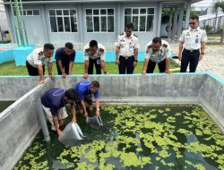 Dukung Kemandirian Pangan Melalui Program Perikanan, Lapas Way Kanan Tebar 800 Bibit Ikan Nila dan Gurame.