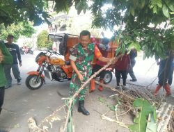 Antisipasi Pohon Tumbang, Babinsa Purwodiningratan Pimpin Kerja Bakti Perempelan Ranting Pohon