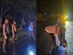 Respon Cepat, Satlantas Polres Way Kanan Datangi Laka Lantas di Jalinsum Umpu Kencana Akibatkan Korban Jiwa dan Luka Berat