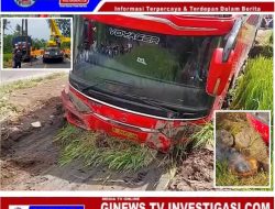 Bus Pariwisata Pasca Kecelakaan Di Jember Melakukan Ritual Sebelum Di Evakuasi